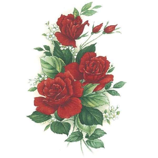Kirkas punainen ruusu s 3488  (4)