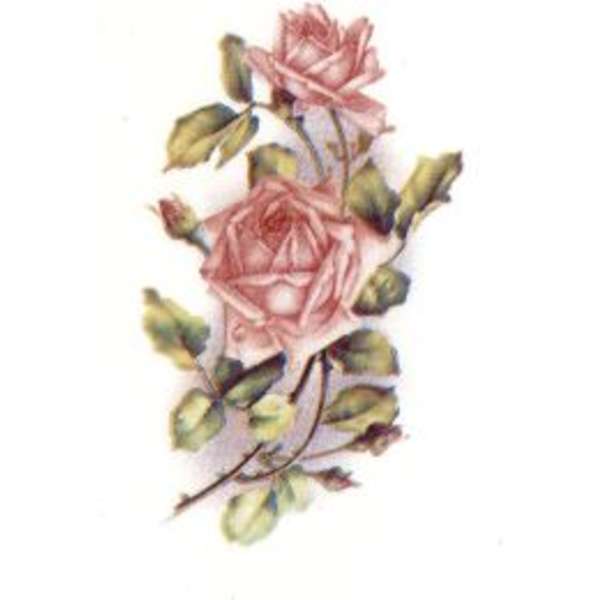 10034 Vaaleanpunaiset ruusut (44)