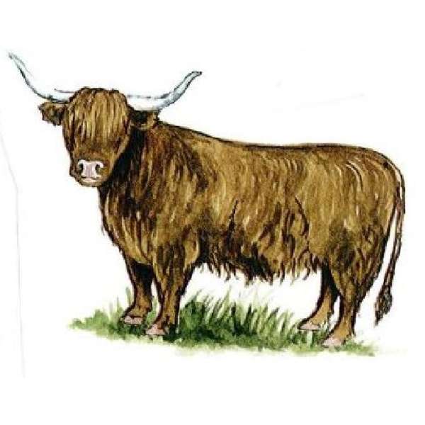 S.3544 A Ylämaan karja (P.482)