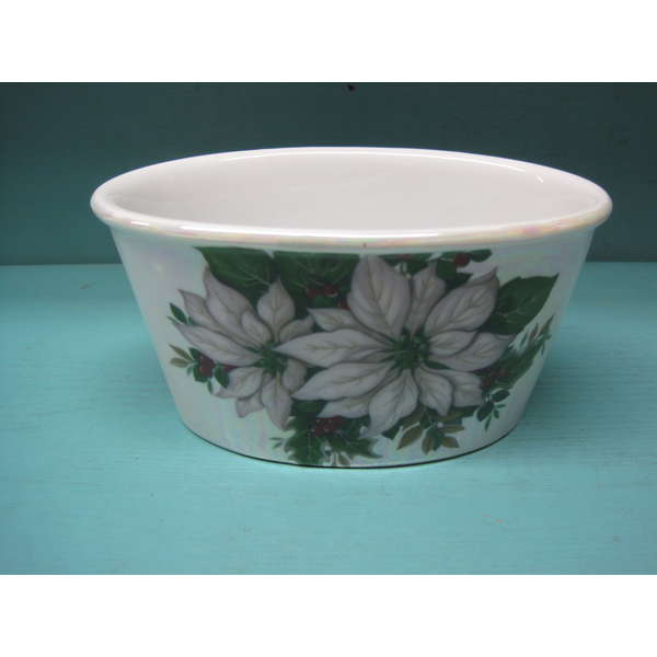 Hyasinttiruukku, valkoinen joulutähti