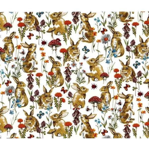 Jänis ja kärpässieni (10)