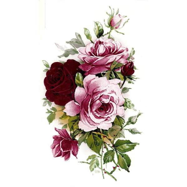 TARJOUS Isot punaruusut 190 X 105 mm