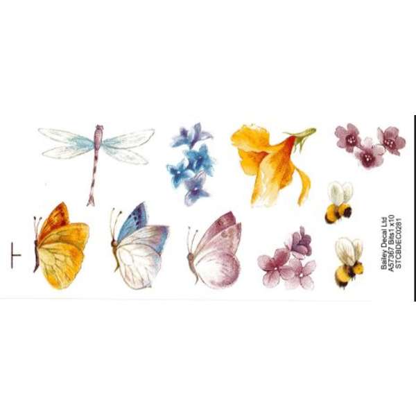 Kesäinen arkki (553)