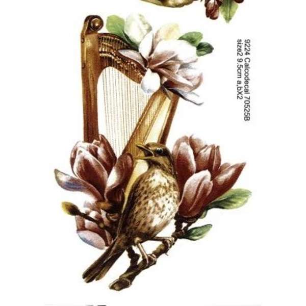 70525 Laululintu (P.754)