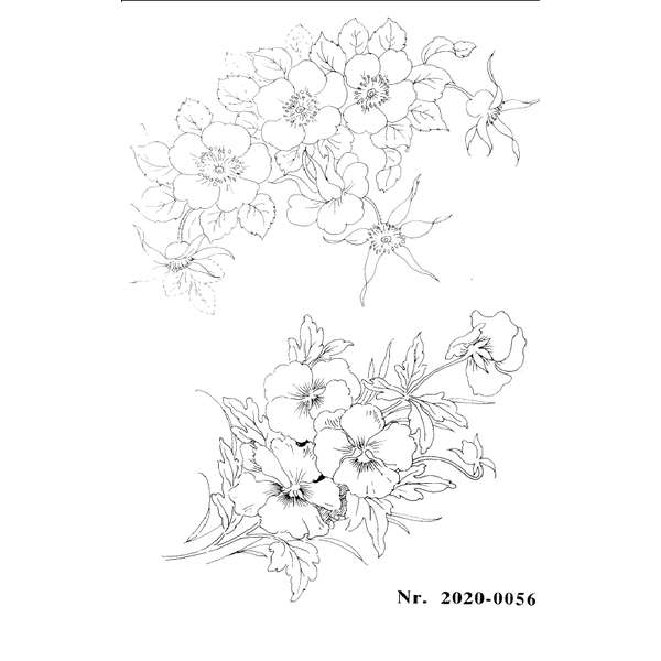 Villiruusu ja Orvokki 0056