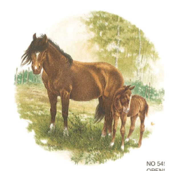 Hevonen ja varsa 5450 / 2 (401) 