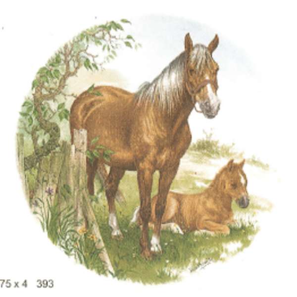Hevonen ja varsa 5450 / 4 (401) 