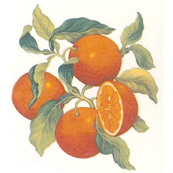 Appelsiinit A.57233.4 (208)