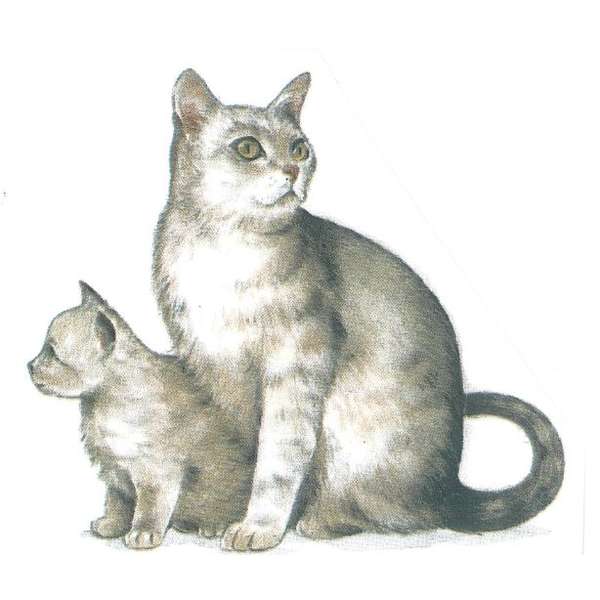 Kissa-emo ja pentu S.157 (461)