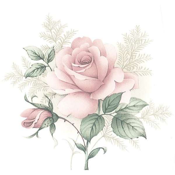 Vaaleanpunainen ruusu S.6639 (63)