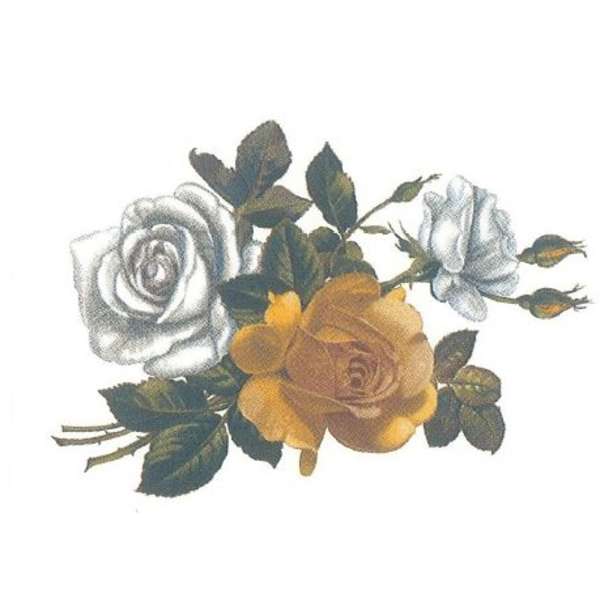 A 57290 Valkoiset ja keltaiset ruusut(18)