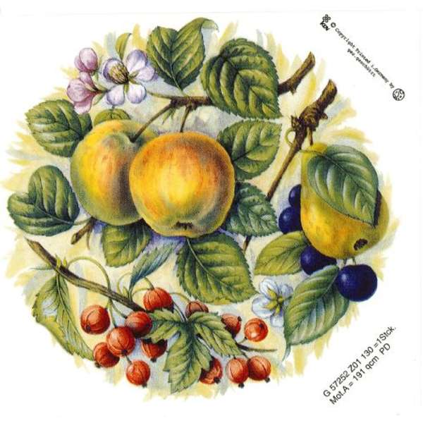 Omenat ja viinimarjat  lasisiirtokuva(P.358)