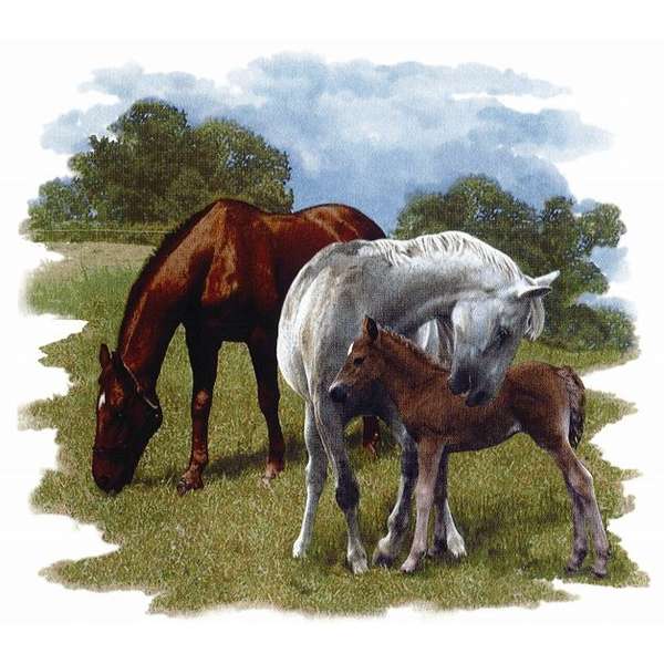 A 57275 ruskea ja valkoinen hevonen + varsa (P.406)