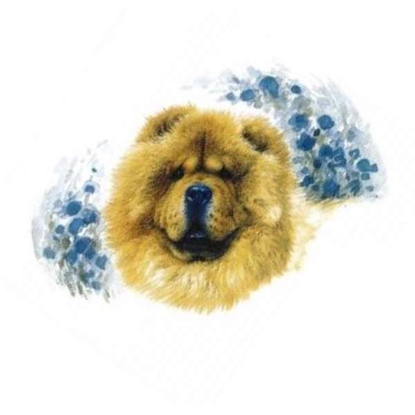 A 42299 Chowchow