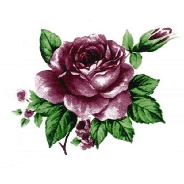 S.3596 Petite rose (P.71)