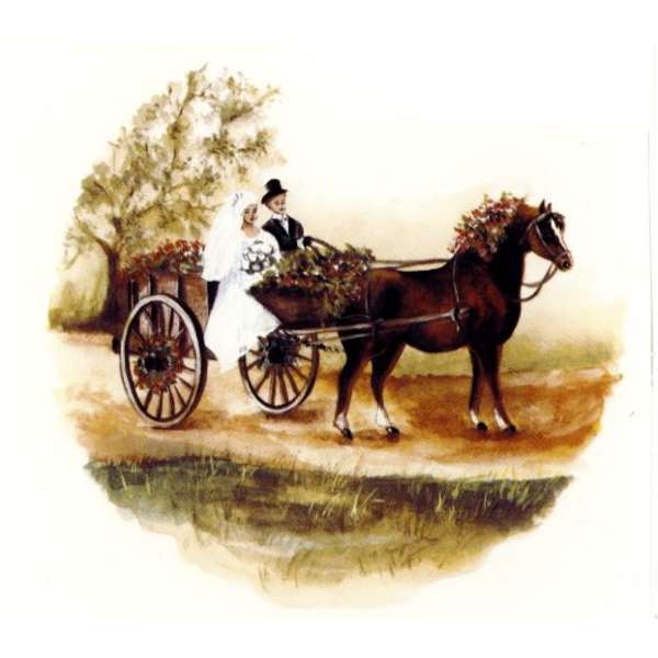 Hääpari rattailla (859)